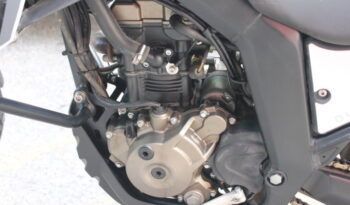 
									MALAGUTI DUNE  125 full								