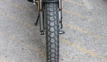 
									MALAGUTI DUNE  125 full								