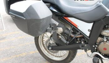
									MALAGUTI DUNE  125 full								
