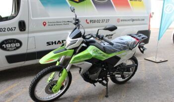 
									CFMOTO 250 DUAL full								