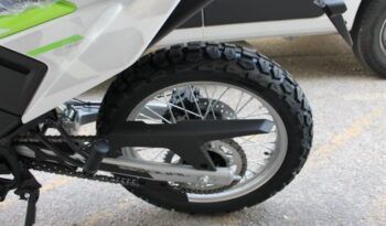 
									CFMOTO 250 DUAL full								