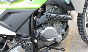 
									CFMOTO 250 DUAL full								