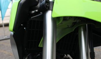 
									CFMOTO 250 DUAL full								