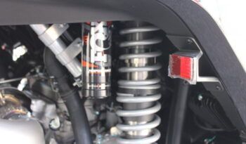 
									CFMOTO Z10 TURBO 2 PLAZAS full								