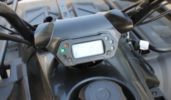 
									LINHAY M210 ATV full								