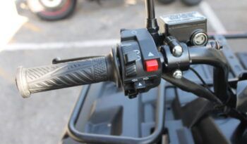 
									LINHAY M210 ATV full								