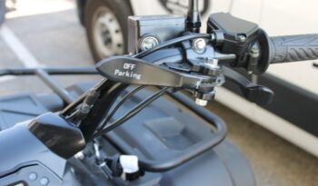 
									LINHAY M210 ATV full								