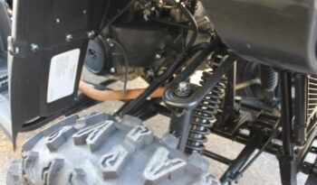 
									LINHAY M210 ATV full								