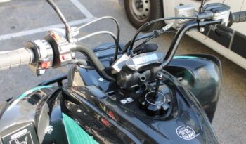 
									YAMAHA YFM 700 R ( RAPTOR) EDITION LIMITED full								