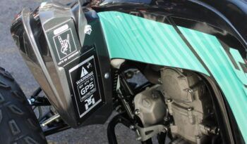 
									YAMAHA YFM 700 R ( RAPTOR) EDITION LIMITED full								