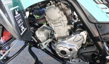 
									YAMAHA YFM 700 R ( RAPTOR) EDITION LIMITED full								