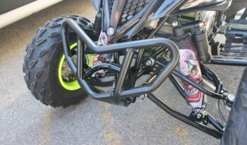 
									YAMAHA YFM 700 R ( RAPTOR) EDITION LIMITED full								
