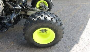 
									YAMAHA YFM 700 R ( RAPTOR) EDITION LIMITED full								
