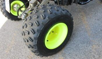 
									YAMAHA YFM 700 R ( RAPTOR) EDITION LIMITED full								
