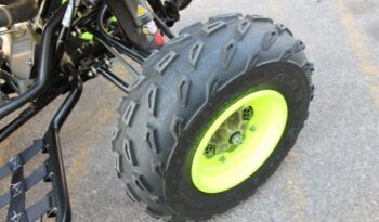 
									YAMAHA YFM 700 R ( RAPTOR) EDITION LIMITED full								