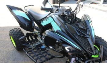
									YAMAHA YFM 700 R ( RAPTOR) EDITION LIMITED full								
