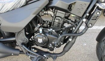 
									MITT JOY 125 full								