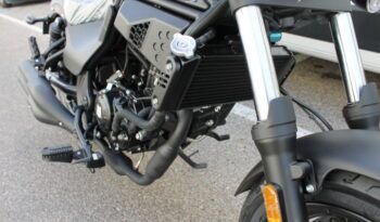 
									MITT JOY 125 full								