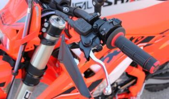 
									BETA RR 390 4T X-PRO full								