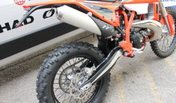 
									BETA RR 250 2T X-PRO full								