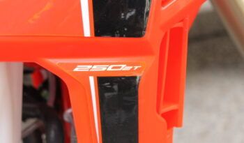 
									BETA RR 250 2T X-PRO full								