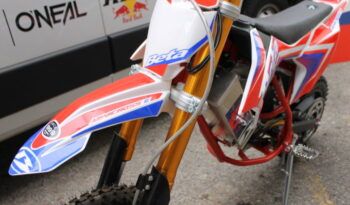 
									BETA MINICROSS E 48V full								