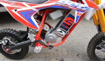 
									BETA MINICROSS E 48V full								