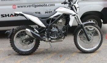 
									BETA ALP 4.0 350 full								