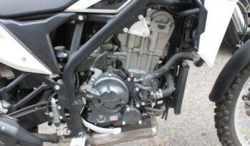 
									BETA ALP 4.0 350 full								
