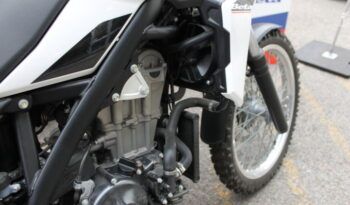 
									BETA ALP 4.0 350 full								