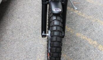
									BETA ALP X (SCRAMBLER) full								