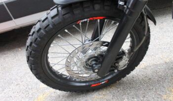 
									BETA ALP X (SCRAMBLER) full								