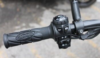 
									BETA ALP X (SCRAMBLER) full								