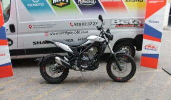 
									BETA ALP X (SCRAMBLER) full								