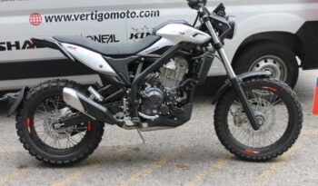 
									BETA ALP X (SCRAMBLER) full								