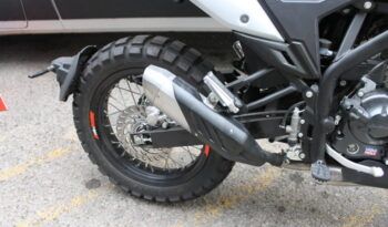 
									BETA ALP X (SCRAMBLER) full								